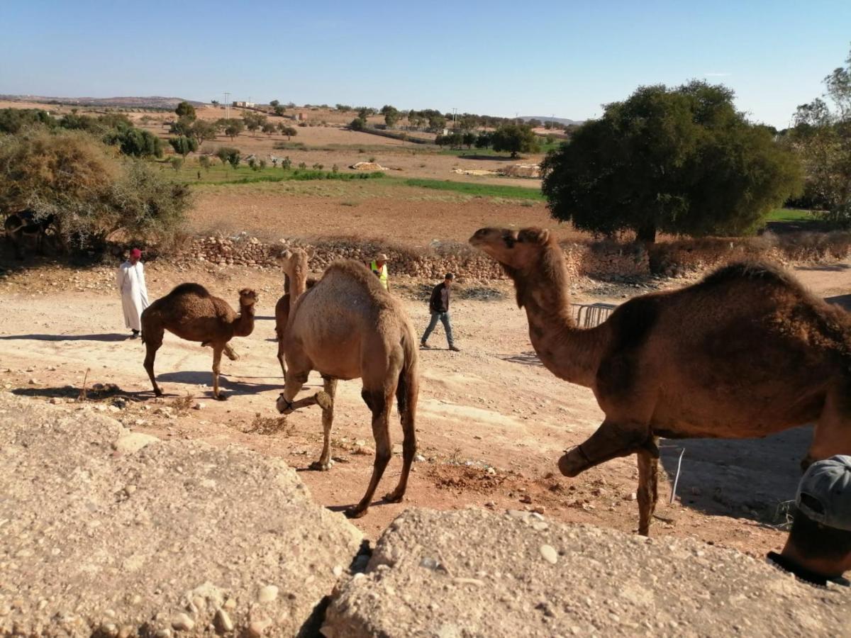 Gite Kasbah La Palmeraie Skoura Zewnętrze zdjęcie