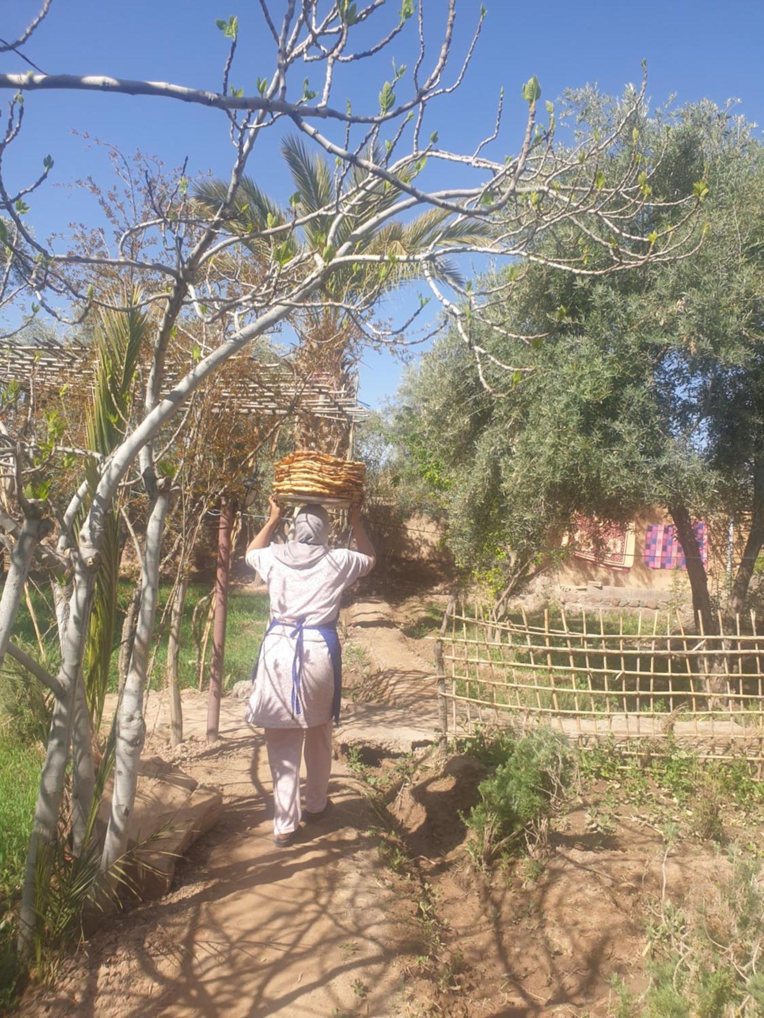 Gite Kasbah La Palmeraie Skoura Zewnętrze zdjęcie