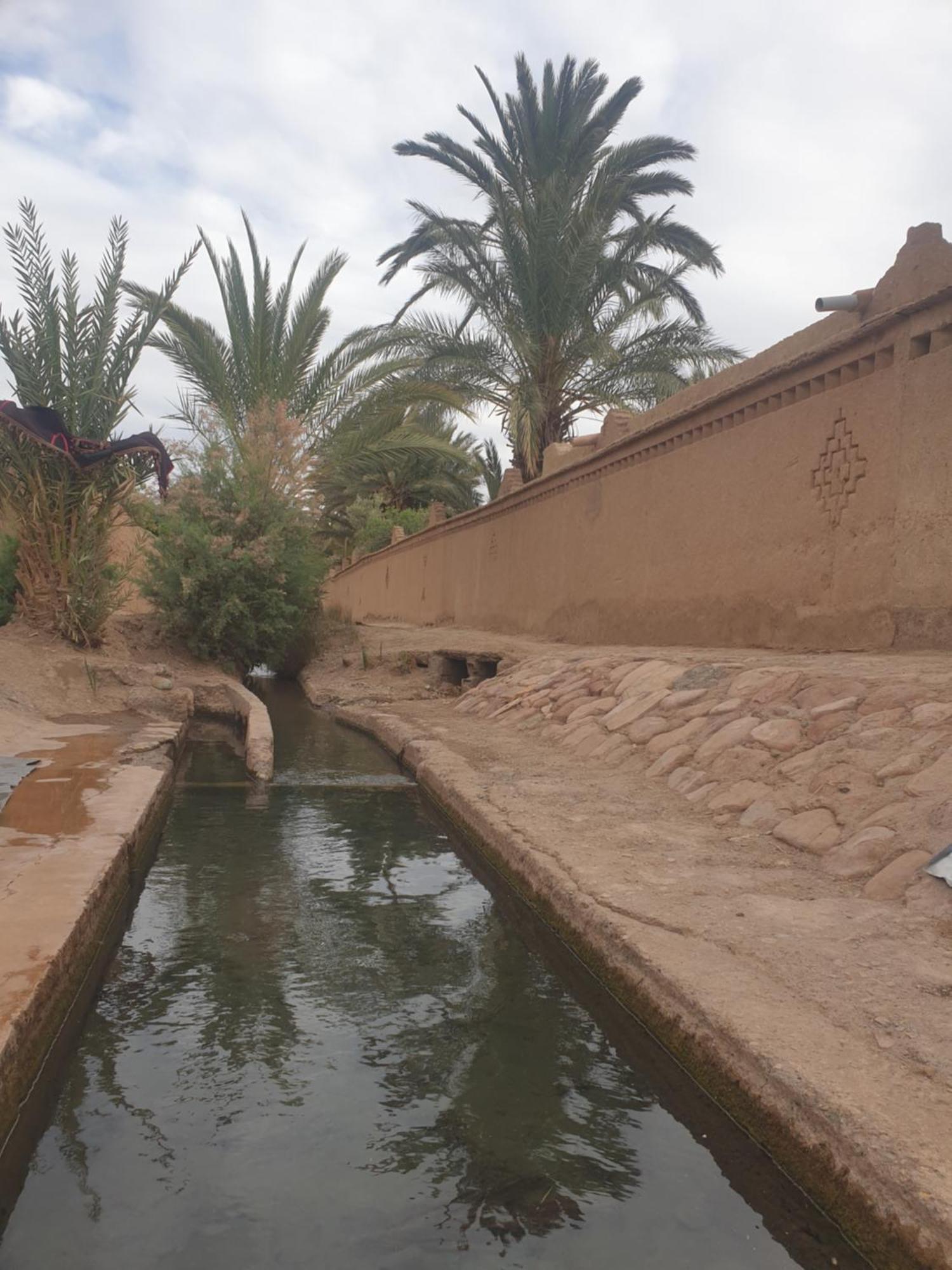 Gite Kasbah La Palmeraie Skoura Zewnętrze zdjęcie