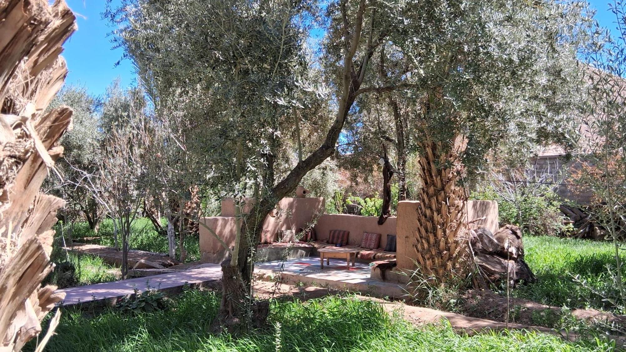 Gite Kasbah La Palmeraie Skoura Zewnętrze zdjęcie